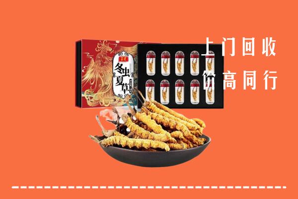 红河州回收虫草
